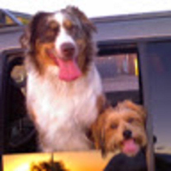 Meet your Posher, Rod - Picture 1 of 1